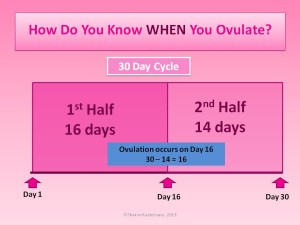 What Day Does Ovulation Occur In A 30 Day Cycle