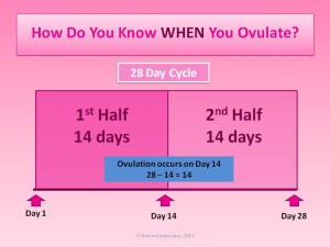 A typical 28 day cycle